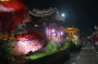 Thumbs/tn_Verlicht bloemencorso 2025 165.jpg
